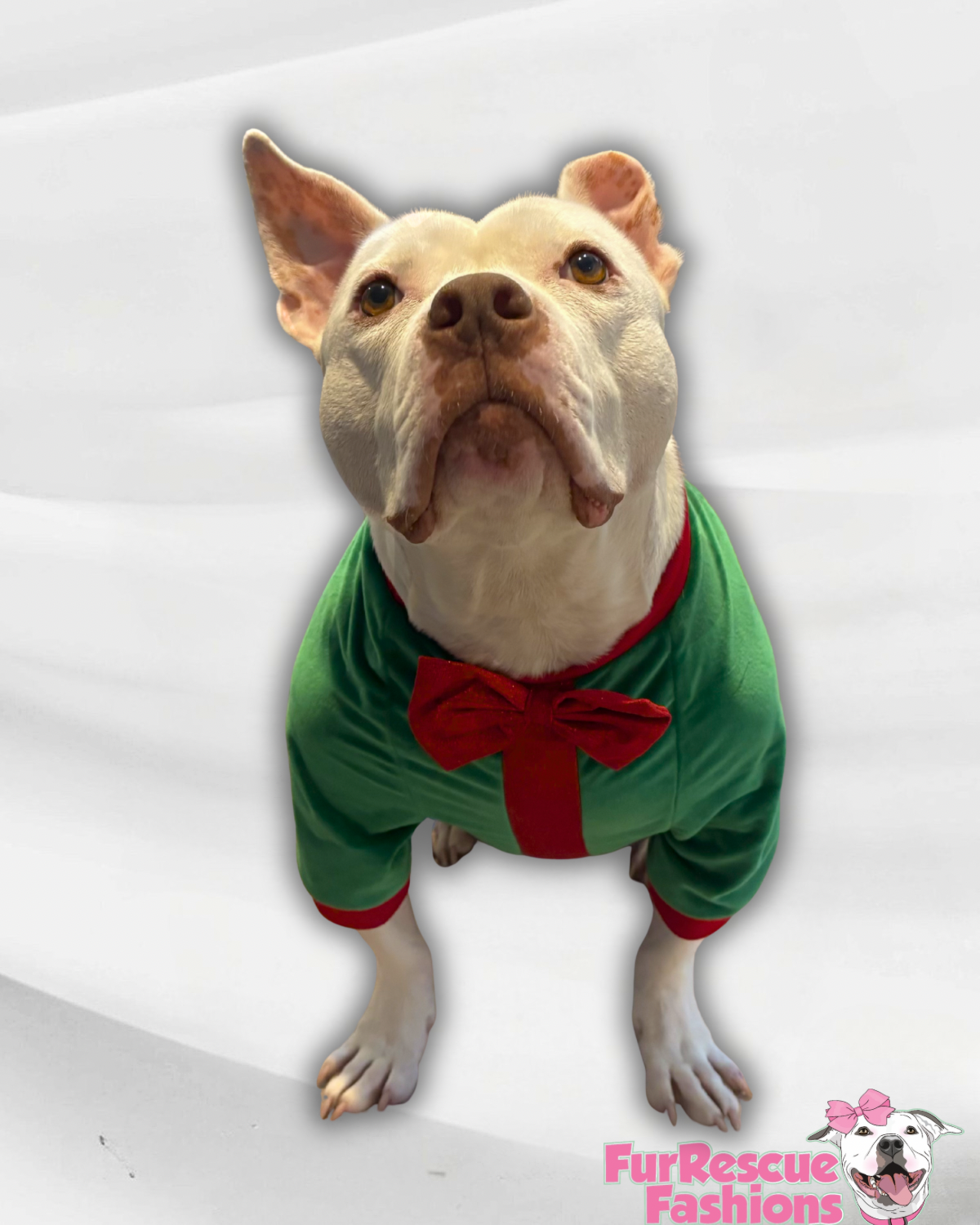 Christmas Gift Bow Dog Sweater