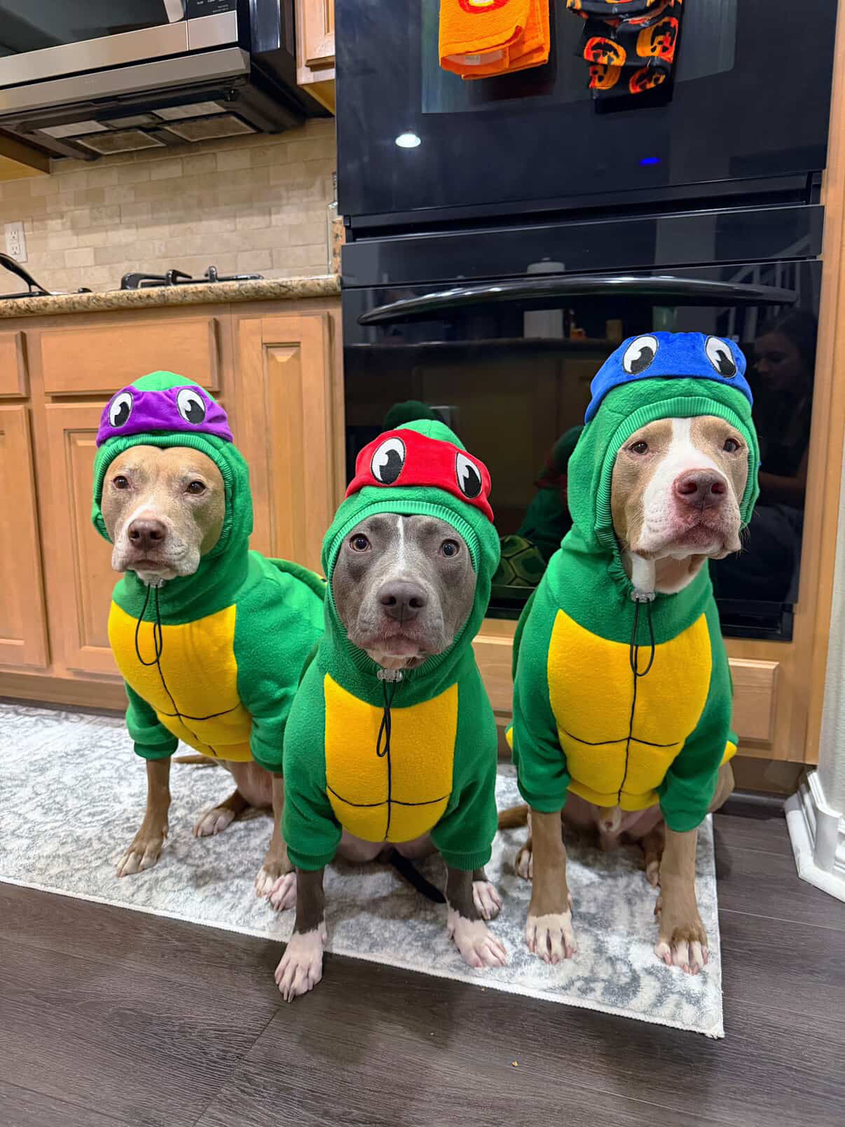 Heroes in a Half Shell – Turtle Hoodie