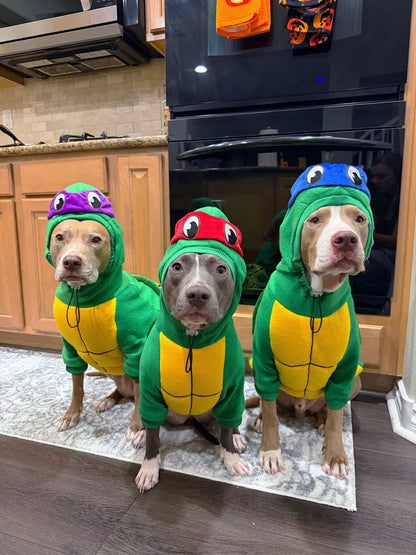 Heroes in a Half Shell – Turtle Hoodie