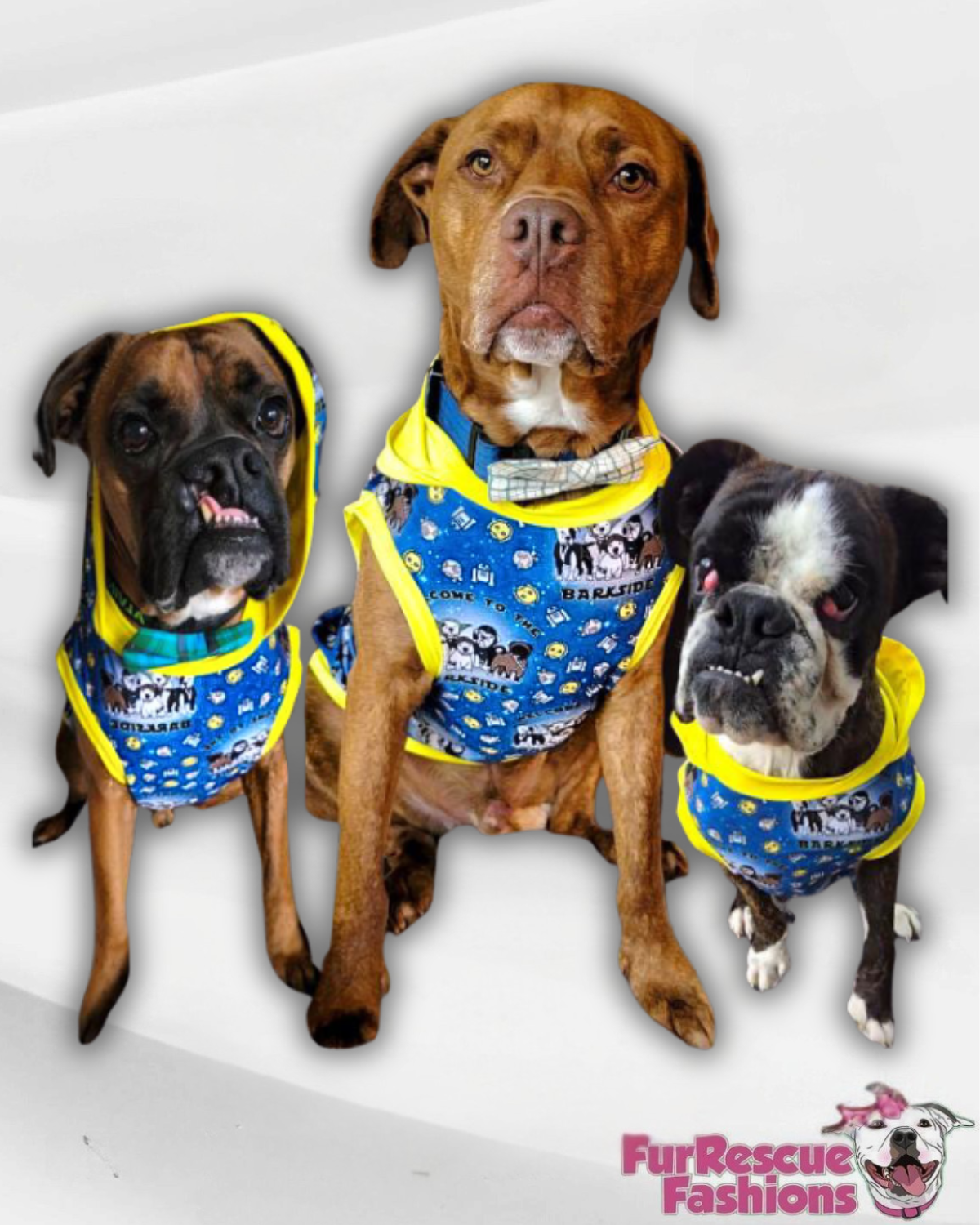 Welcome to the Bark Side - PAWJama with Yellow Trim & Neck