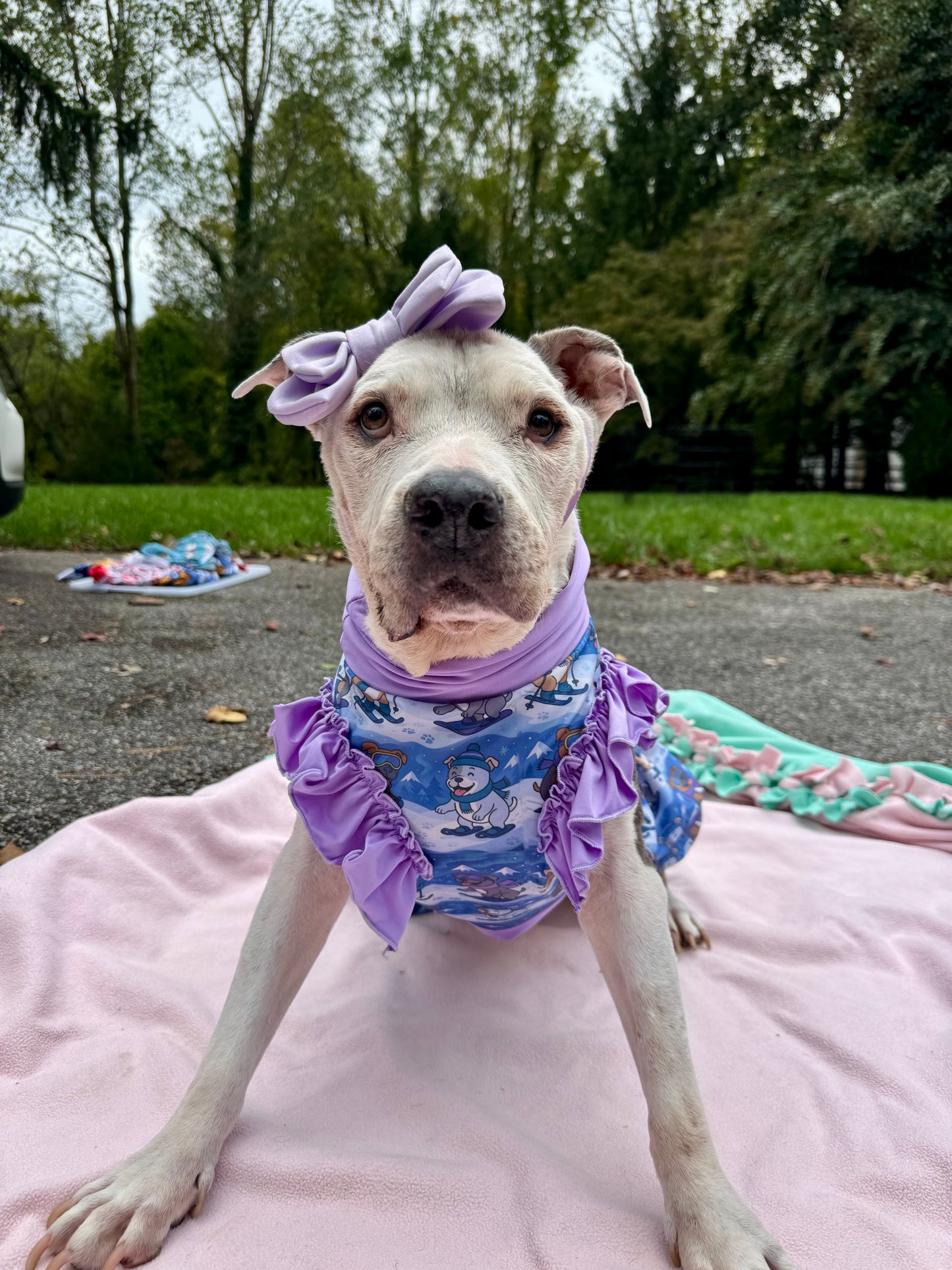 Winter Slope Buddies Dog Pajama with Lavender Neck & Trim/Sleeves