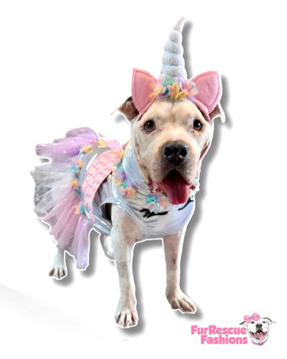 Enchanted Dreamicorn Dog Dress