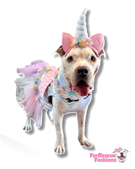 Enchanted Dreamicorn Dog Dress