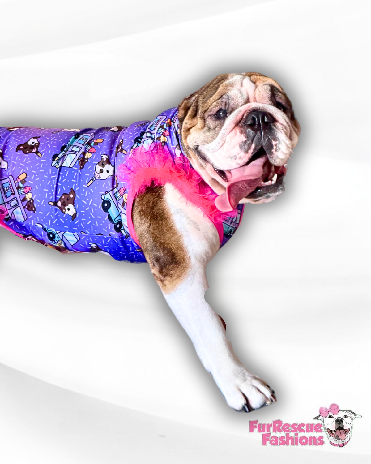 Pittie Pops & Ice Cream Truck  - Purple Dog Pajama with Pink Trim