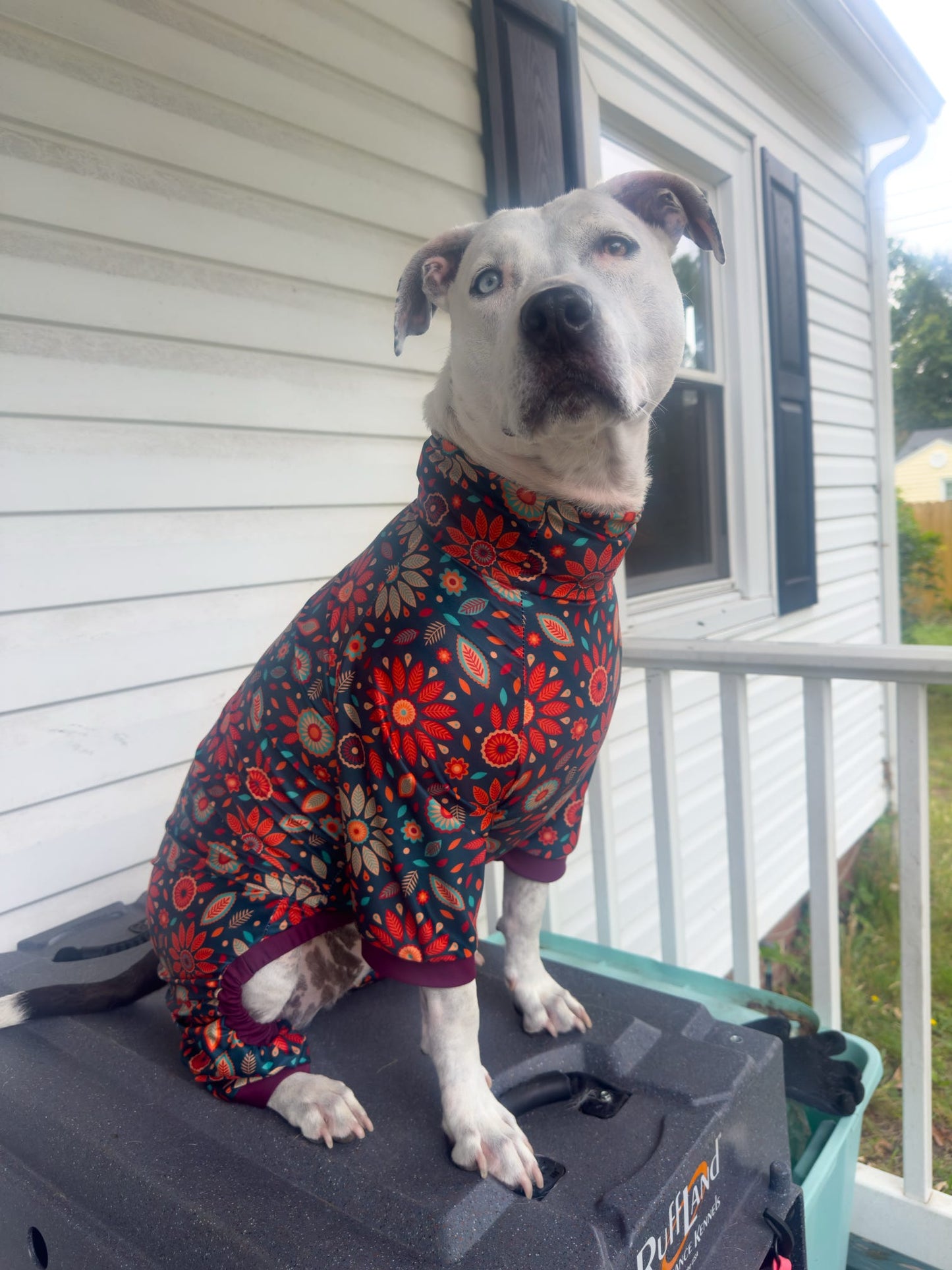 2026 Fall & Halloween 4 Legged PAWjamas with Turtle Neck (Available in any pattern)