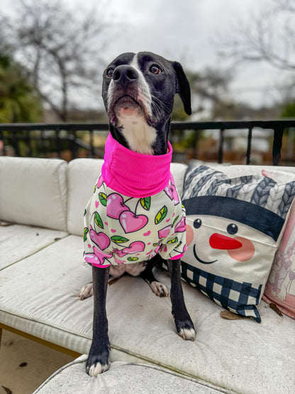Sweet Cherry Love Dog Pajama with Hot Pink Neck & Trim/Sleeves