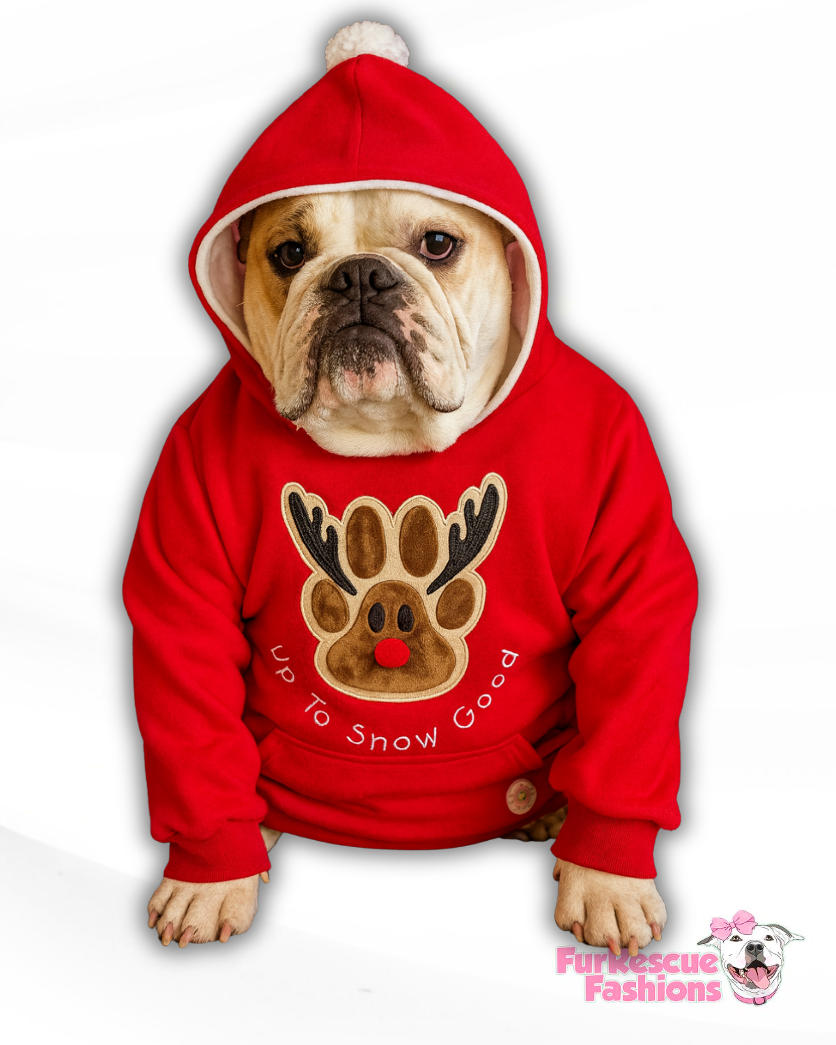 Rudolph Is Up To Snow Good Dog Hoodie