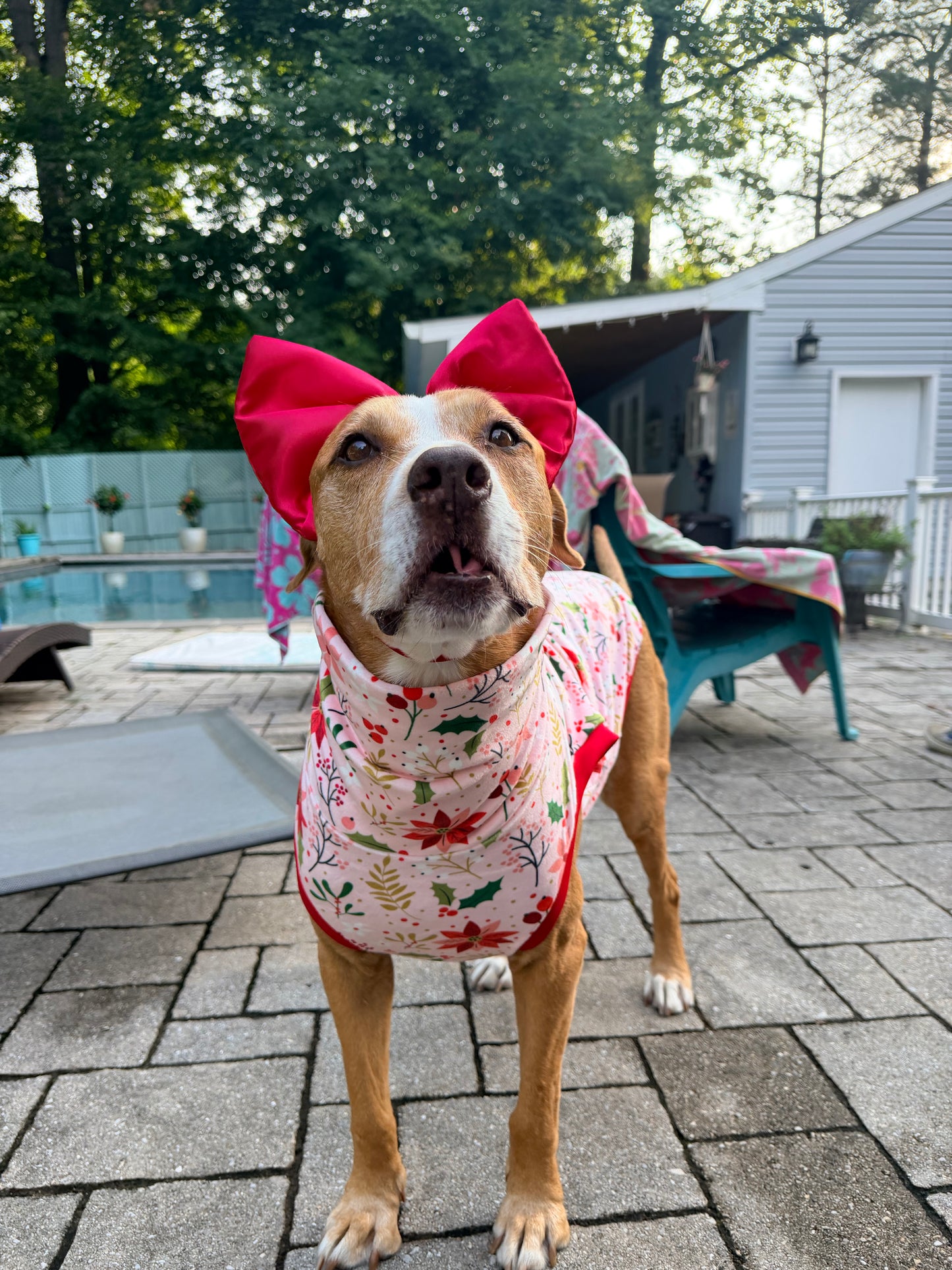 Christmas Blooms - Dog Pajama with Red Neck & Trim/Sleeves