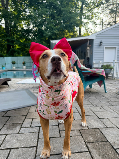 Christmas Blooms - Dog Pajama with Red Neck & Trim/Sleeves