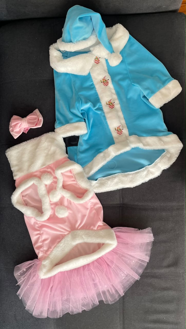 Winter Frost Santa Dog Coat