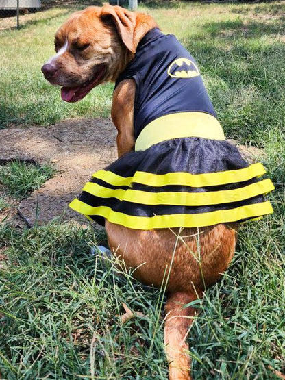 Batgirl PAWer Dog Dress & Headband
