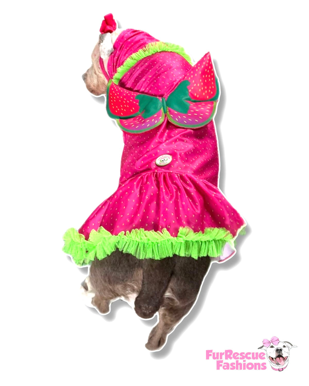 Berry Sweet Dog Dress
