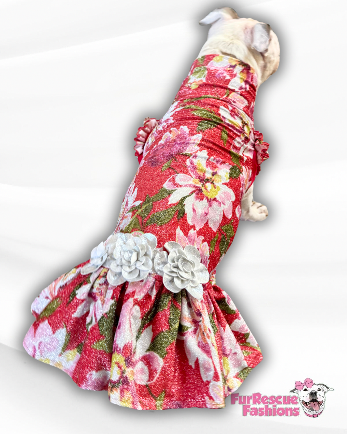 Holly Jolly Bloom Dog Dress