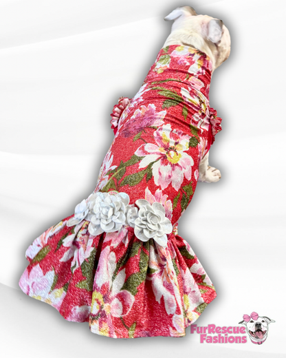 Holly Jolly Bloom Dog Dress