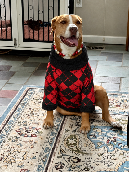 Santa’s Little Prep – Red & Black Argyle Ultra-Luxe - Dog Pajama with Black Neck & Trim/Sleeves