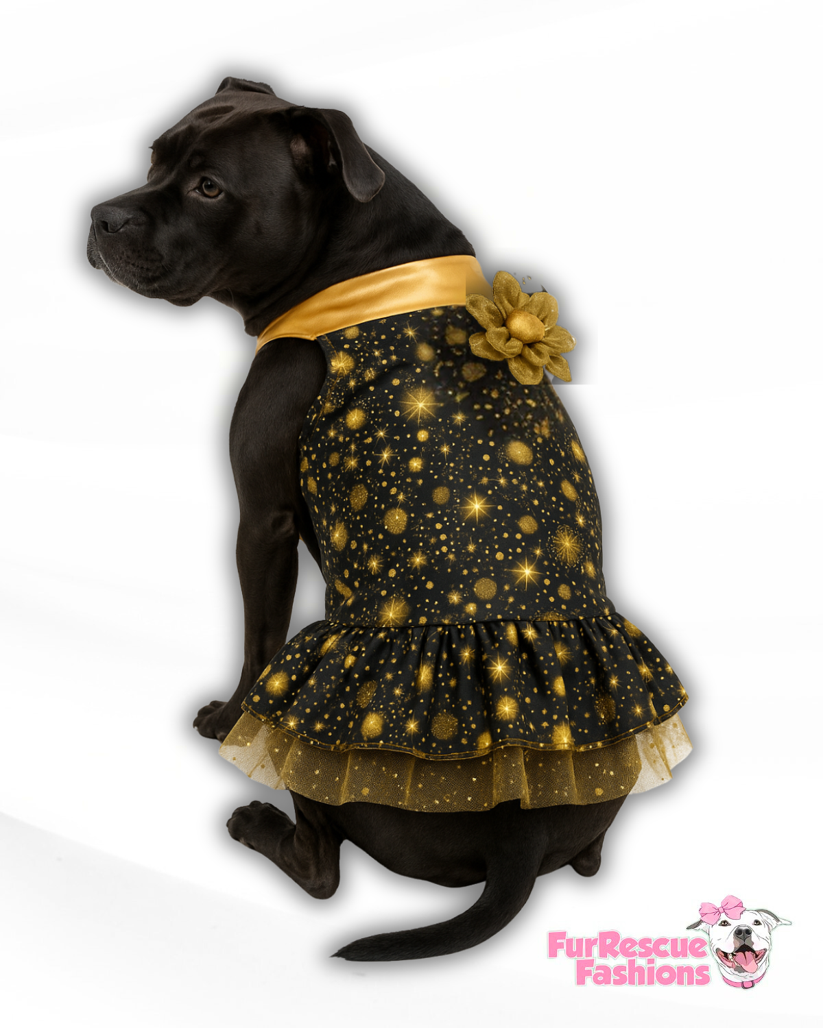 Golden Nights Dog Pajama with Gold Neck & Trim/Sleeves