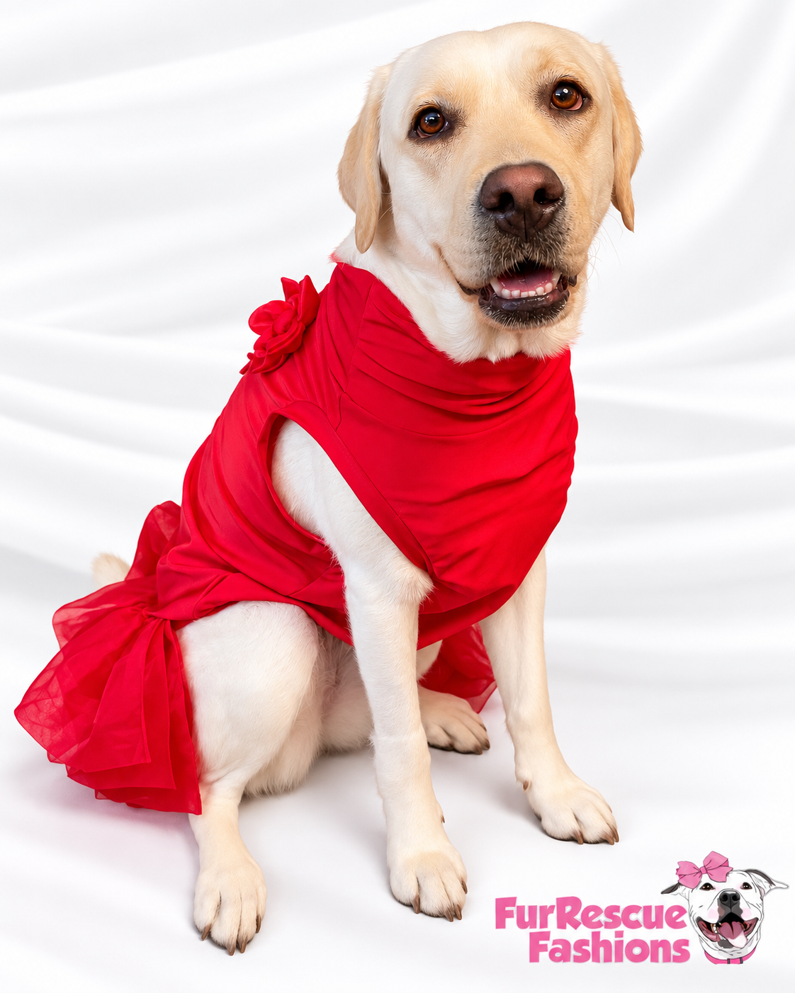Nativity Red Ruffle Dog Holiday Dress