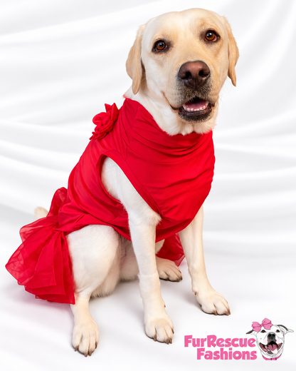 Nativity Red Ruffle Dog Holiday Dress