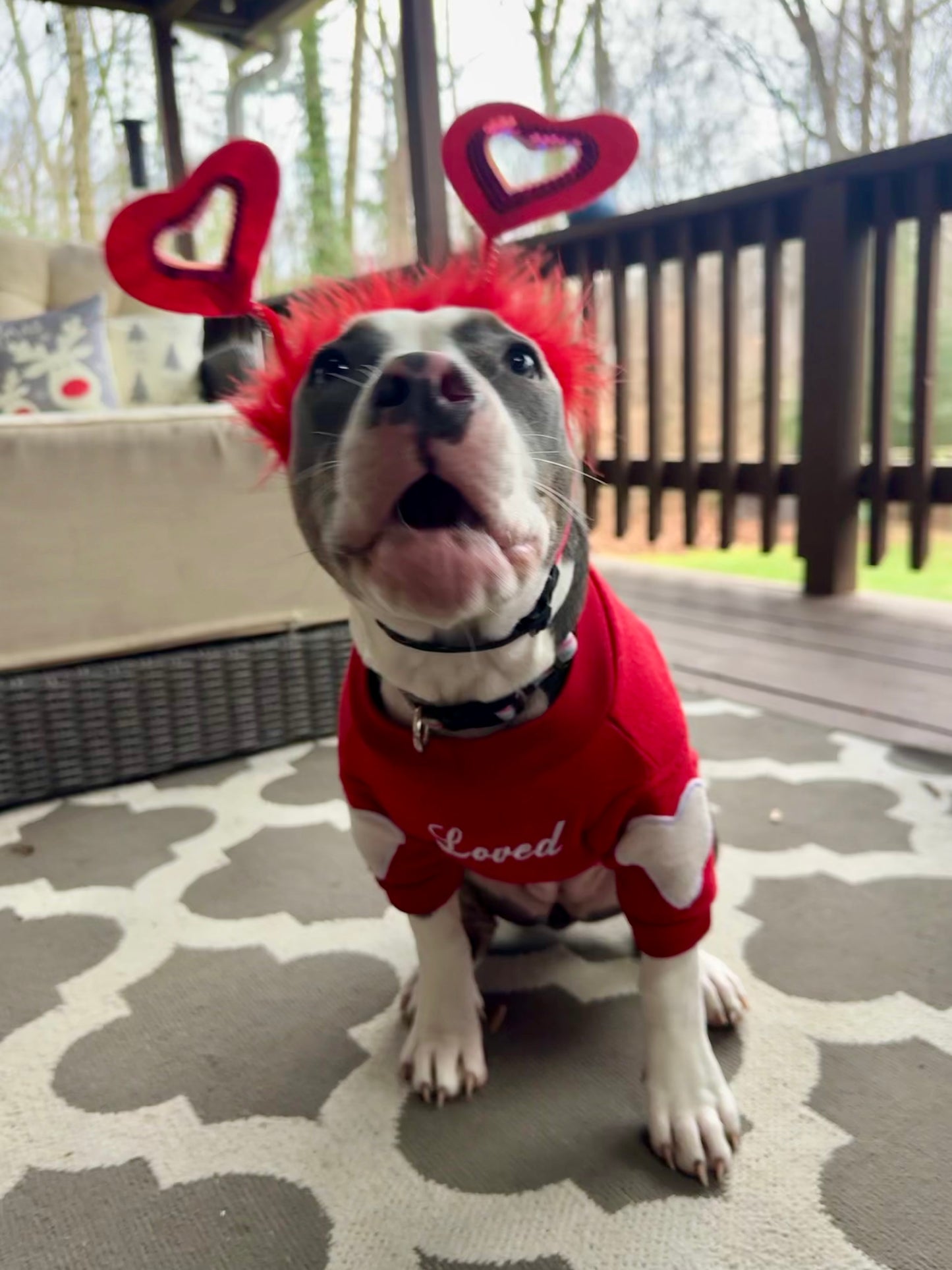 Red Loved Dog Crewneck With Elbow Heart Patches