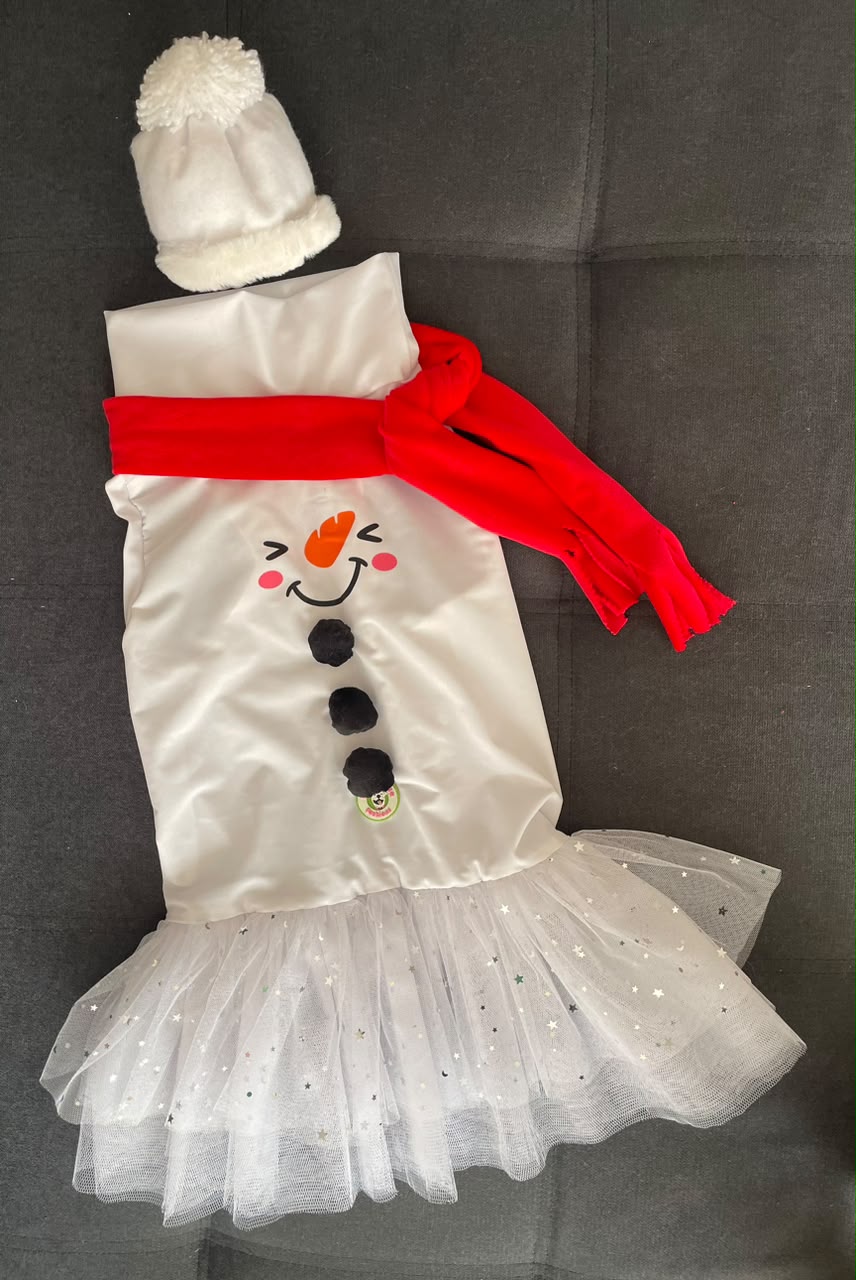Frosty Kisses Sparkly Dog Tutu Dress