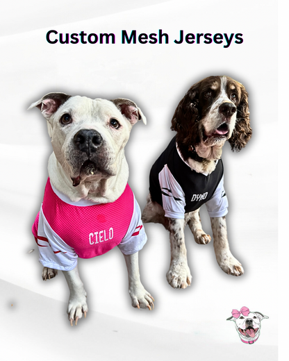 Custom Mesh Dog Jersey