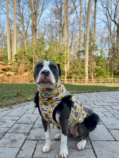 2026 Spring Dog Shirt With Tulle Accent (Available in any pattern)