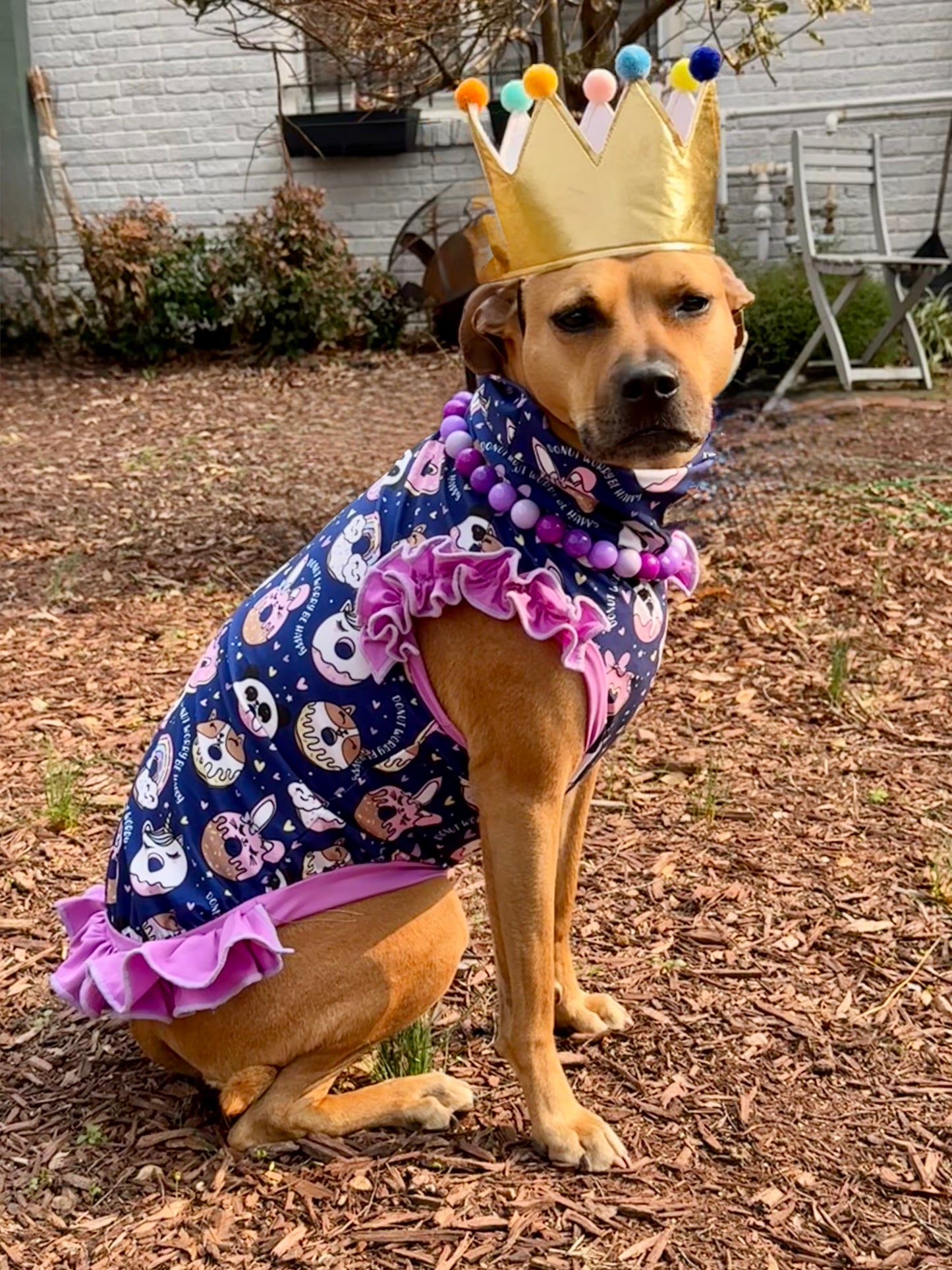2026 Spring Dog Shirt With Ruffles On the Booty (AVAILABLE IN ANY PRE-ORDER PATTERN)