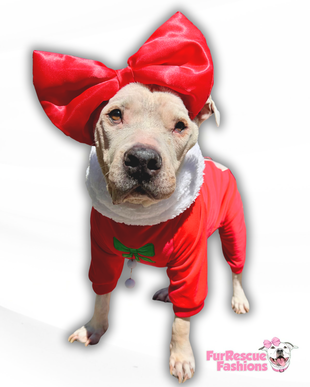 Santa’s List PAWjamas with Swappable Patches (Nice-Naughty-I Tried)