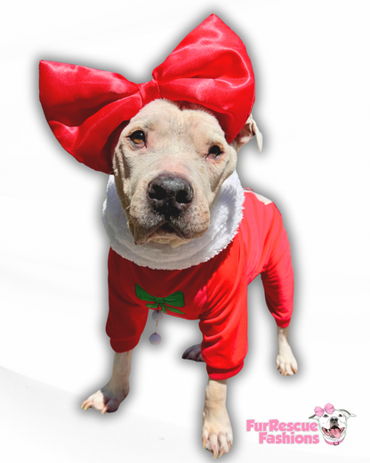 Santa’s List PAWjamas with Swappable Patches (Nice-Naughty-I Tried)