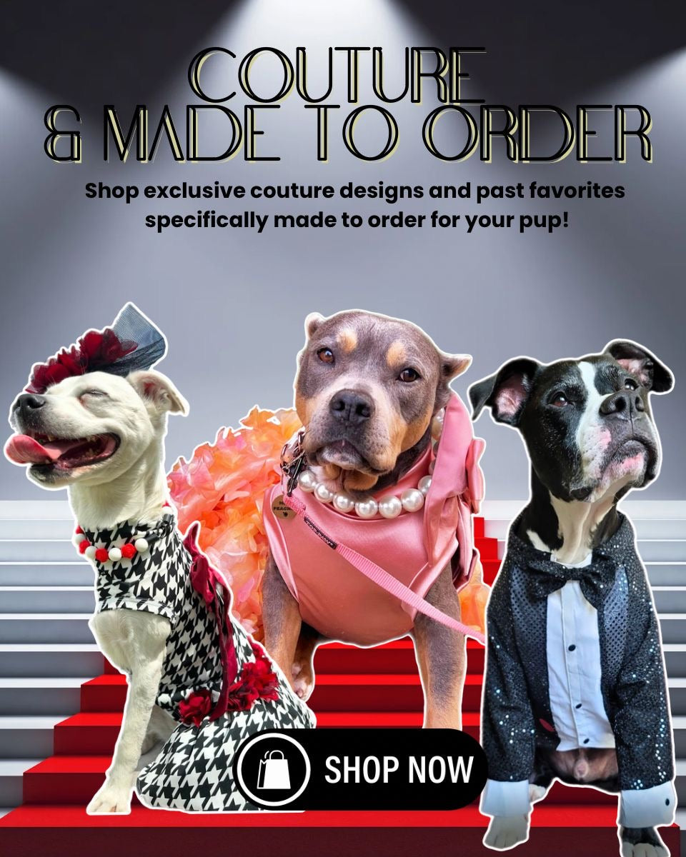 Shop Online Big Dog Clothes | Pitbull Dog accessories for sale