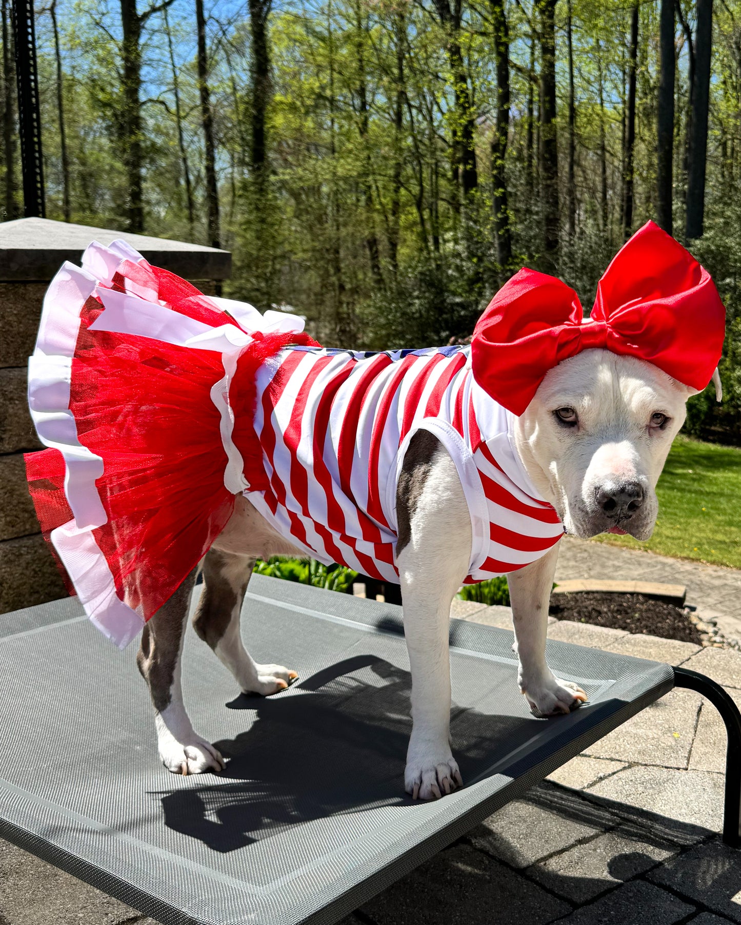 I Love America Dog Tutu Dress