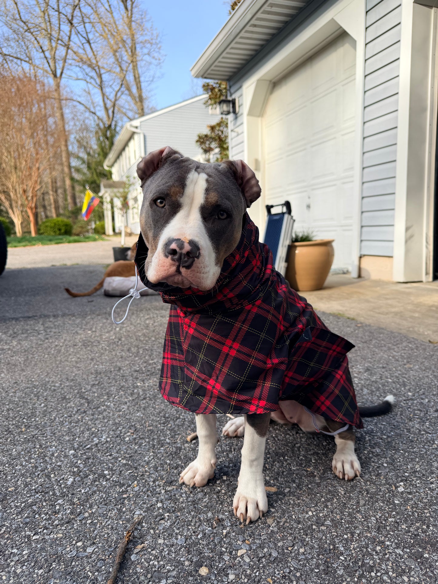 Scottish Plaid  Rain Jacket - Cape - Vest