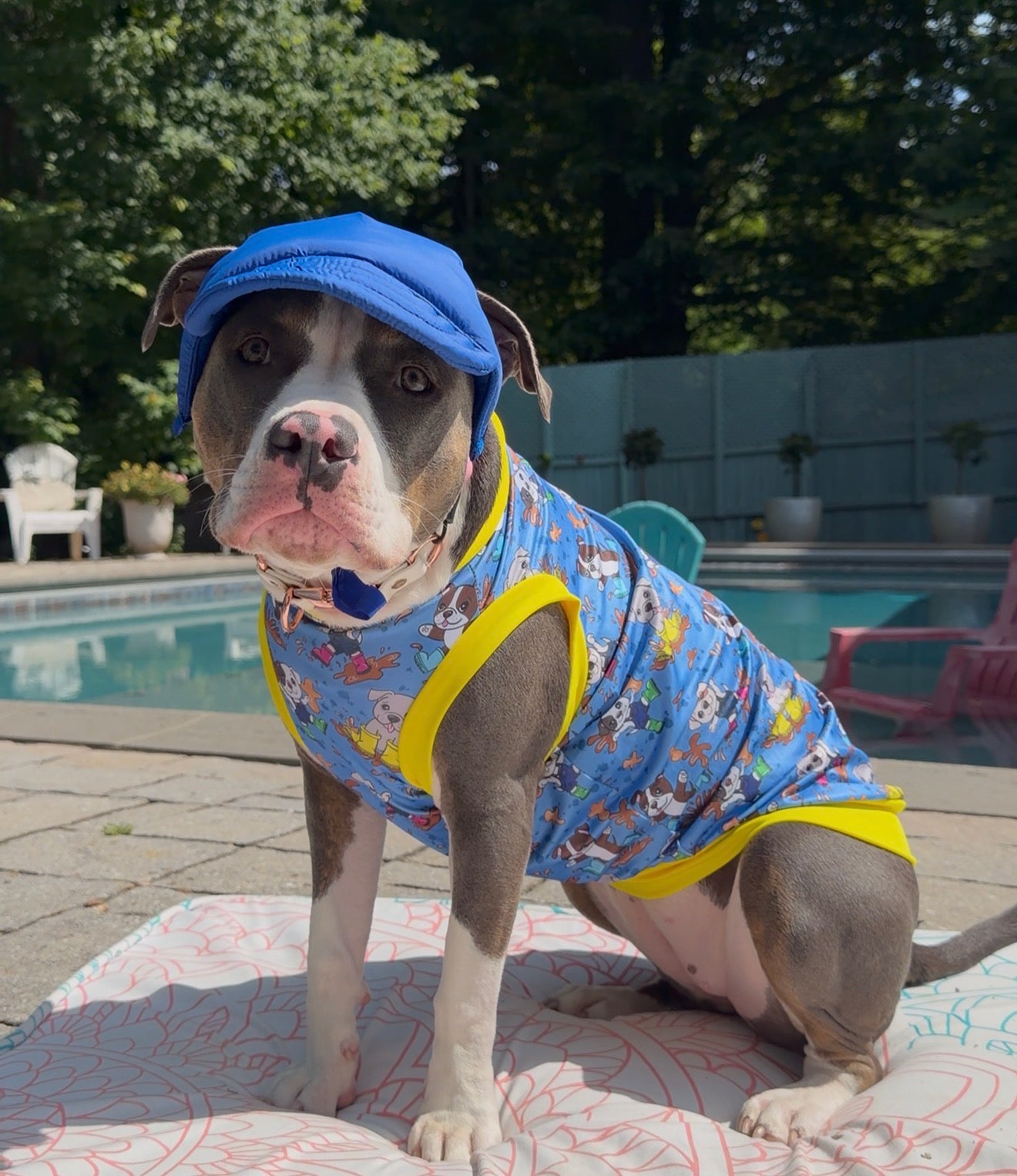 Blue Waterproof Dog Hat