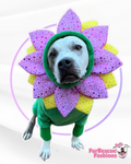Flower Dog Snood