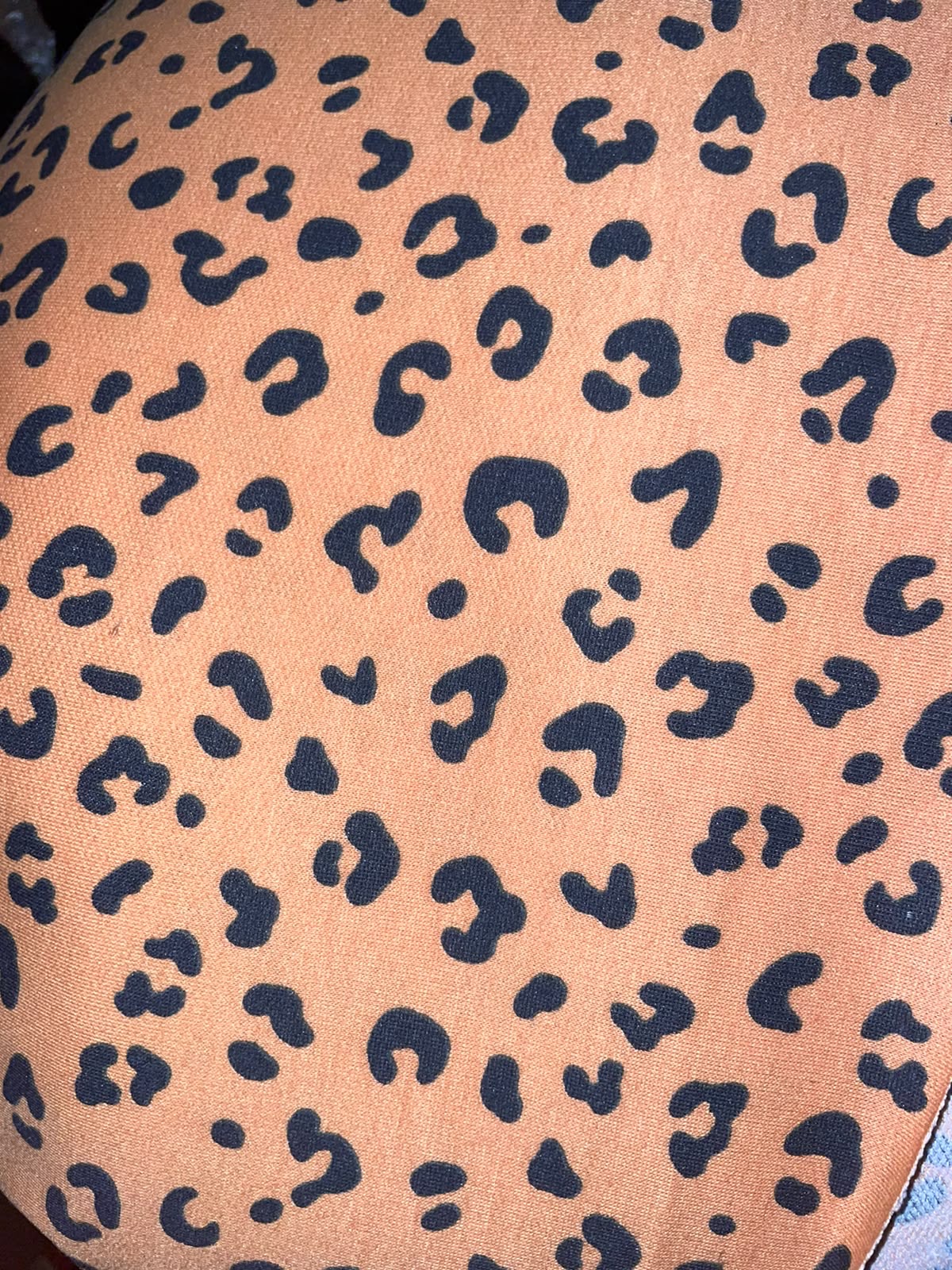 Wild Side Leopard Dog Shirt