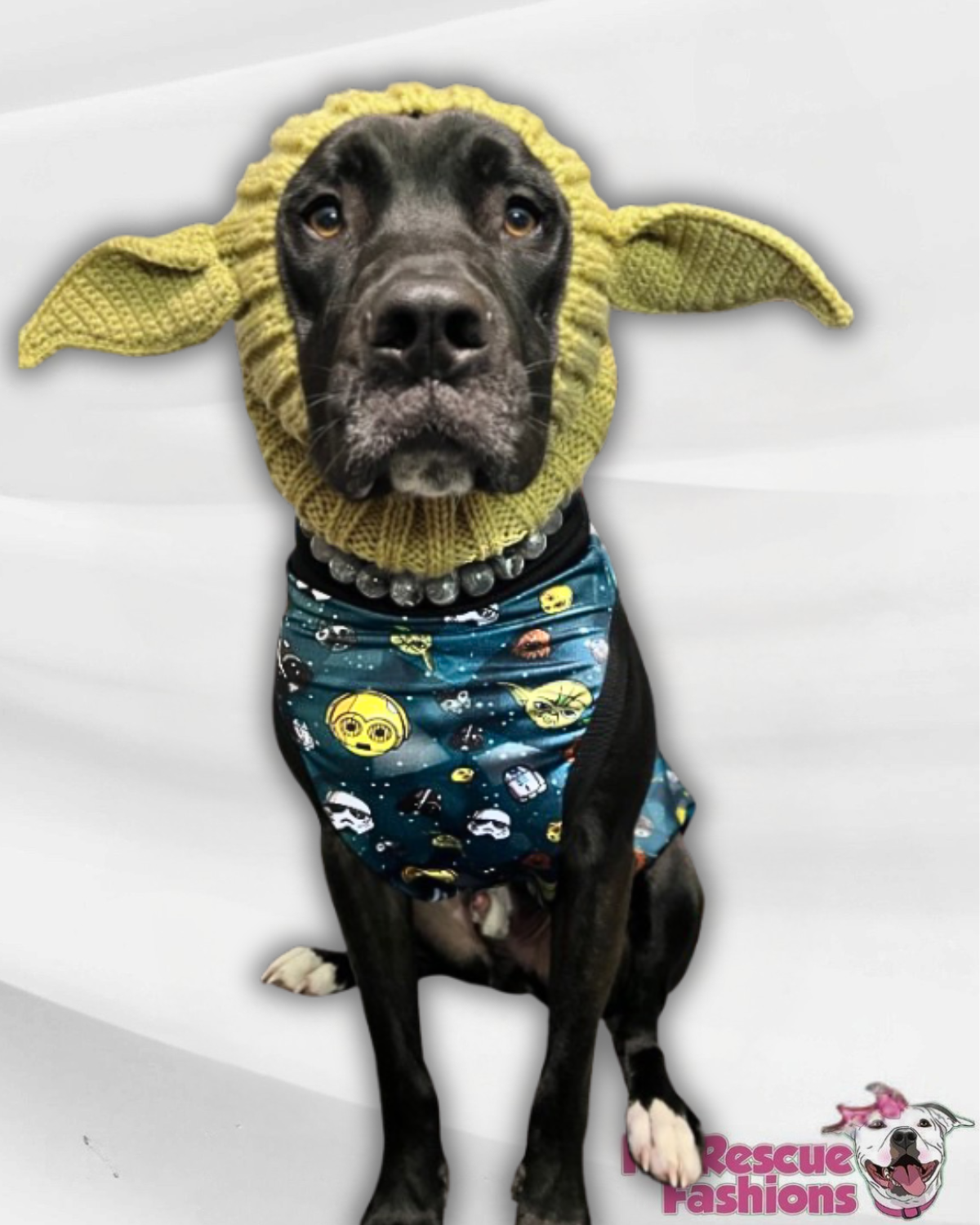 In A Galaxy Far, Far & Away - PAWJama with Black Trim & Neck