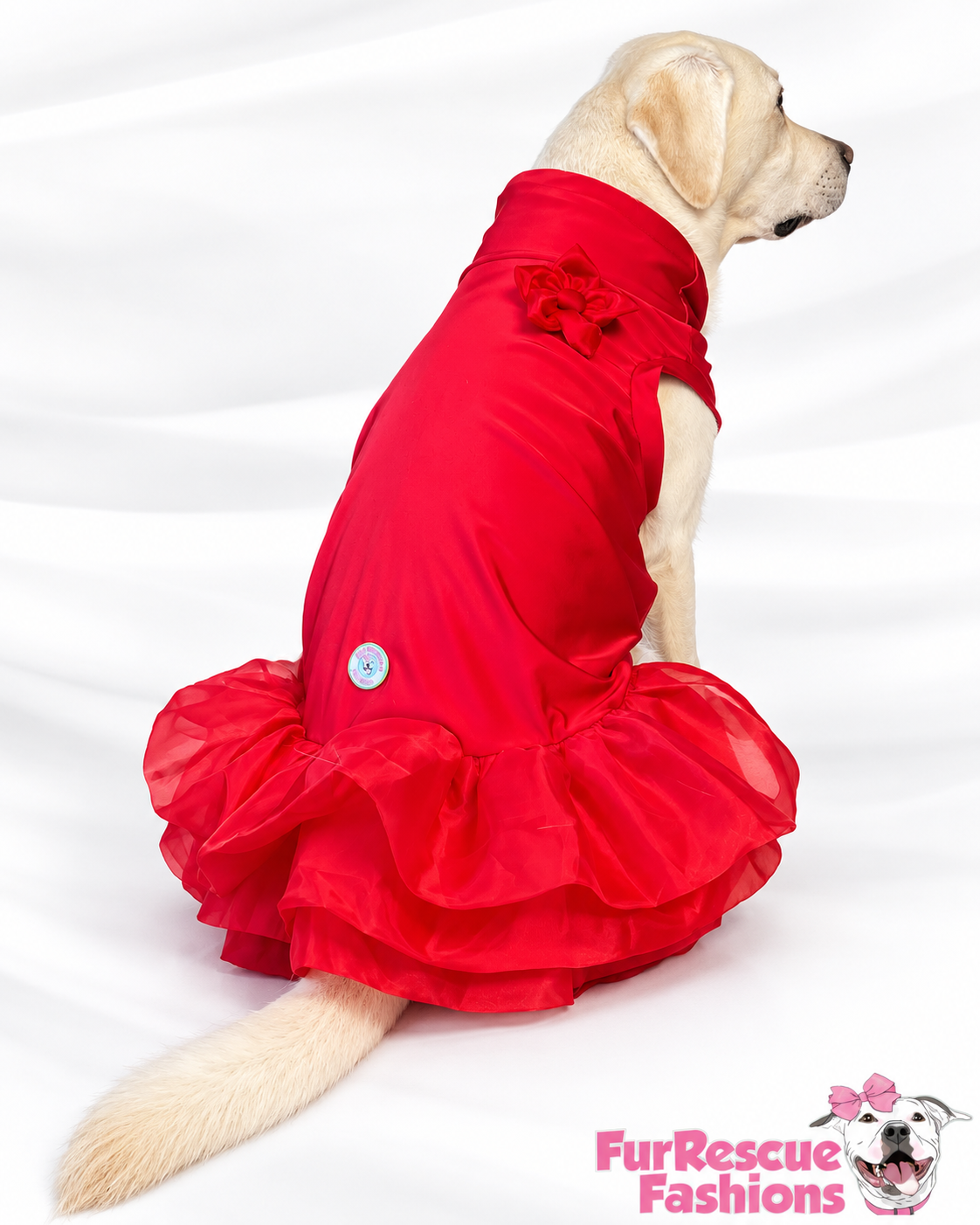 Nativity Red Ruffle Dog Holiday Dress