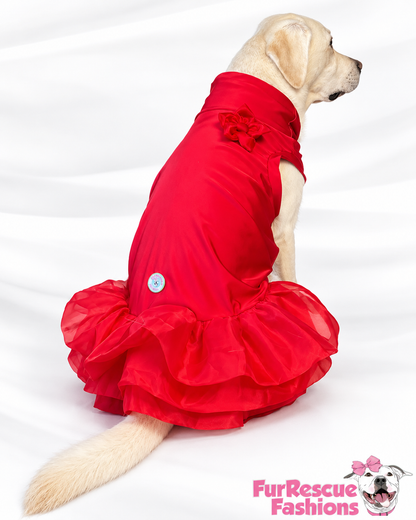 Nativity Red Ruffle Dog Holiday Dress