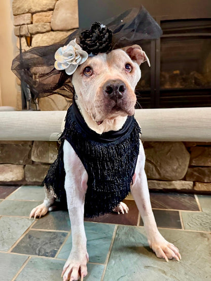 The Paw-sperous Gatsby  Dog Dress