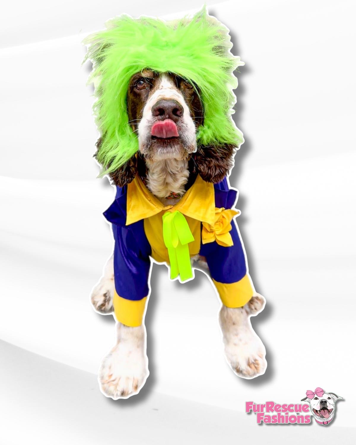 The Joker Dog Costume