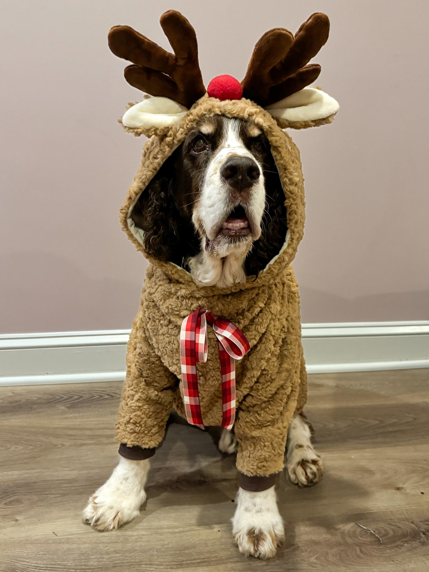 Classic Rudolph Reindeer Dog Hoodie in Curly Lux-Fleece