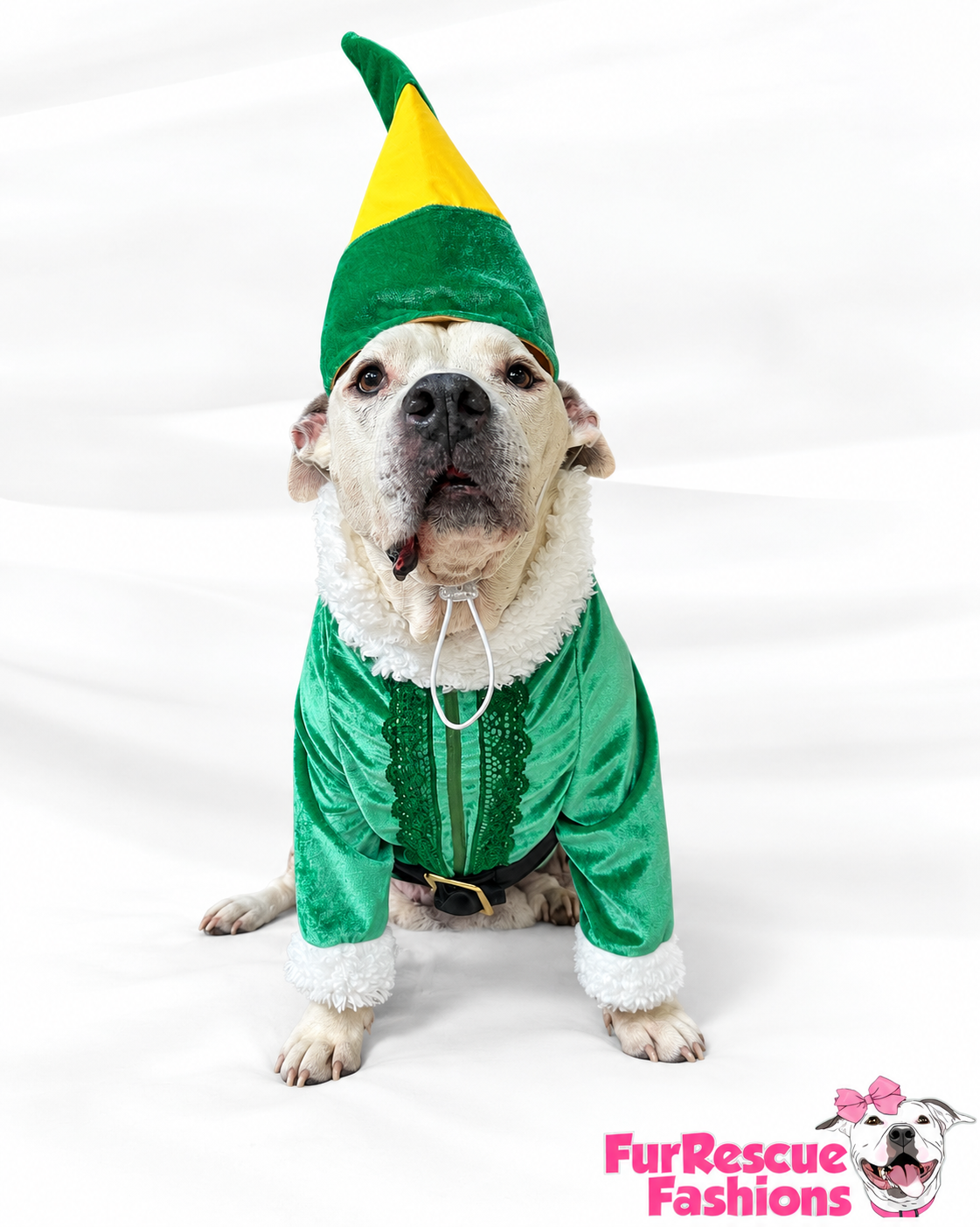 Buddy’s North Pole Couture Christmas Dog Outfit & Hat