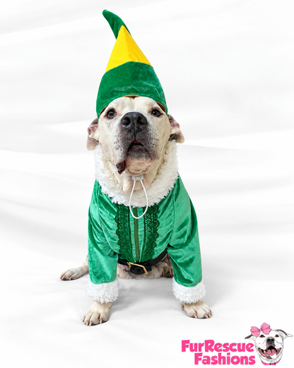 Buddy’s North Pole Couture Christmas Dog Outfit & Hat
