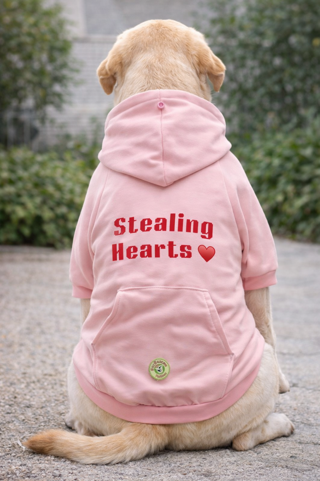 Stealing Hearts Pearl Peek-A-Boo Dog Hoodie – Soft Embroidered Cozy Pup Sweatshirt