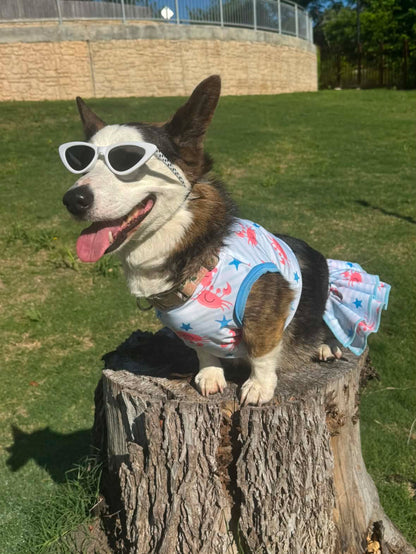 Dog Tankini (AVAILABLE IN ANY PRE-ORDER PATTERN)