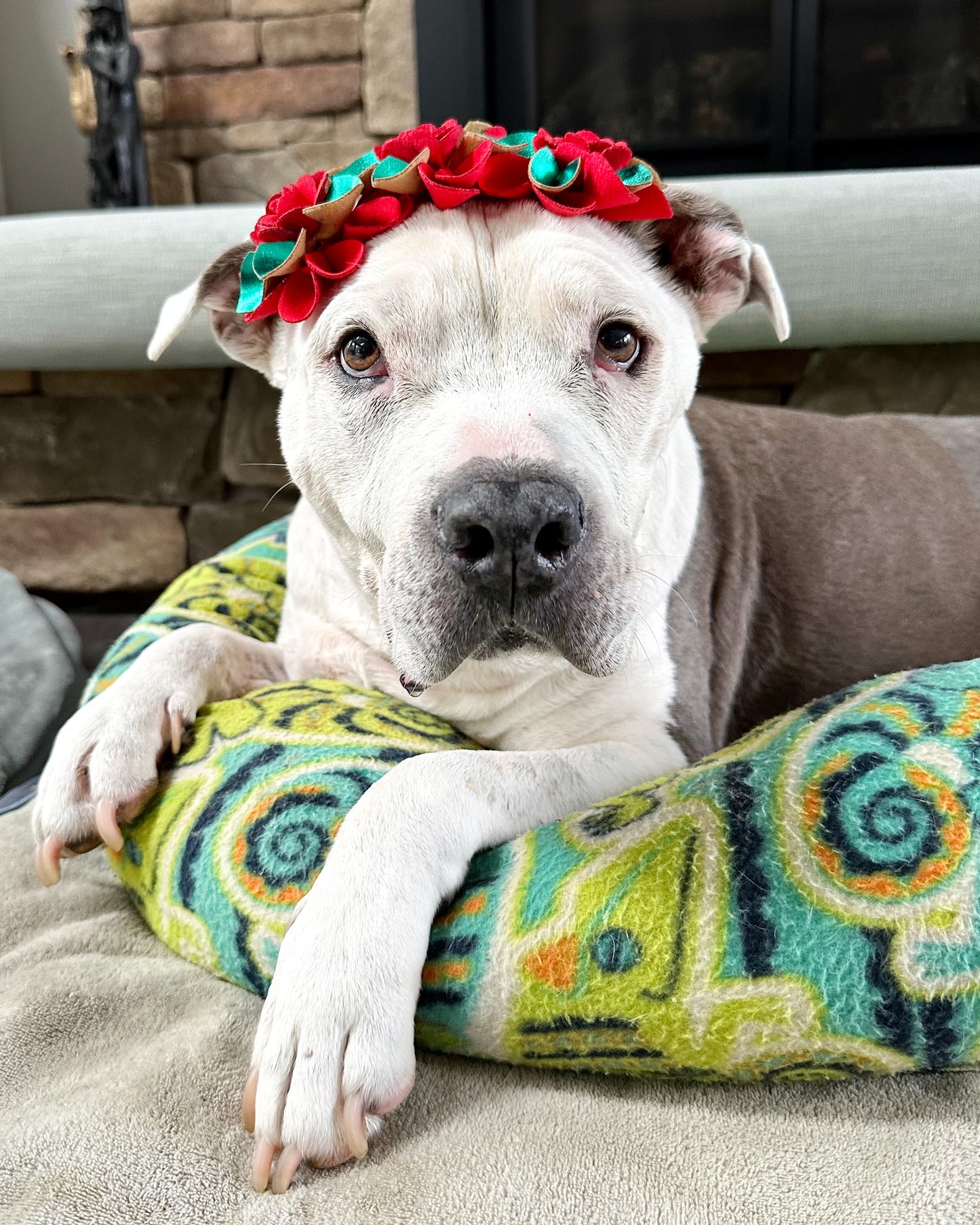 Christmas Red & Green Flower Headband