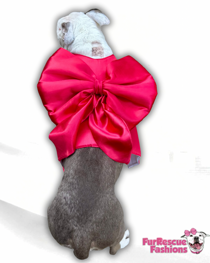 Wrapped in Love Dog Harness