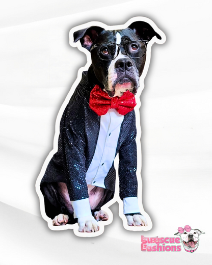 Xmas & NYE Fancy Sparkling Tail Tuxedo With Bow tie