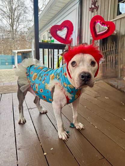 Valentine Mail Day Dog Pajama with Red Neck & Trim/Sleeves
