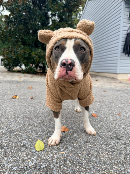 Cuddle Bear Sherpa Dog Hoodie